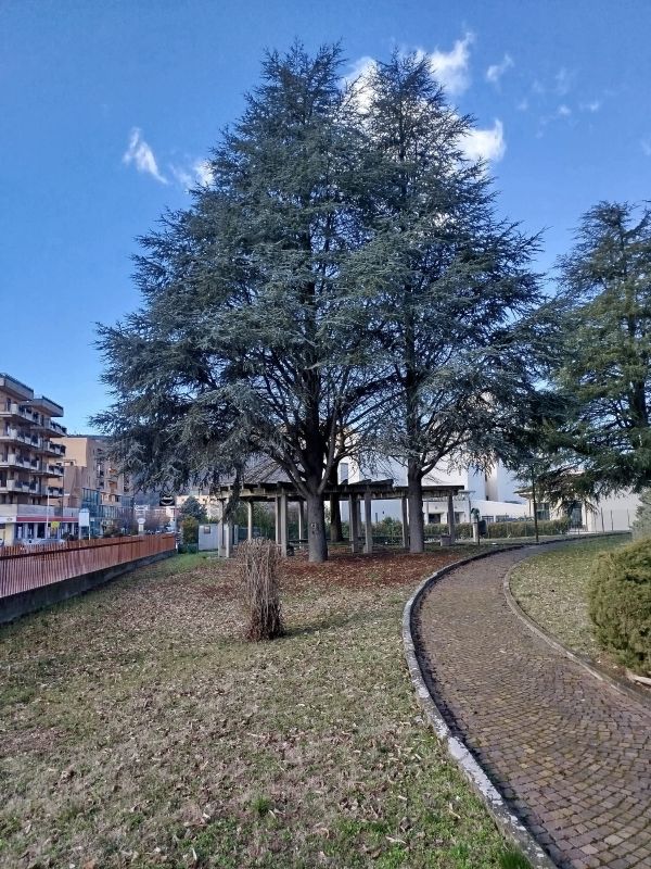 Promessa. I miei romanzi in Biblioteca